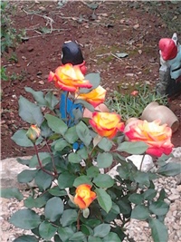552695dd-2013-11-03 09.45.29.jpg